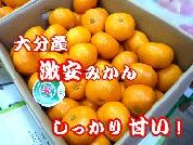 激安みかん