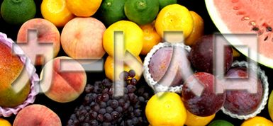 九州の季節の旬の野菜や果物がたくさん♪