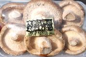 大分特産の肉厚なステーキ椎茸