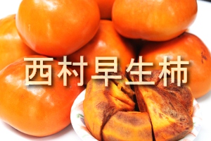 西村早生柿が旬の始まりを告げます。