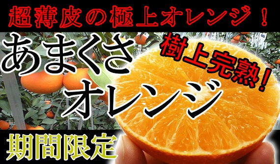 高貴な香りの国産オレンジ『あまくさオレンジ』