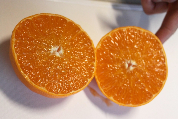 あまくさオレンジのようにカットして食べないと果汁がもったいないです！！