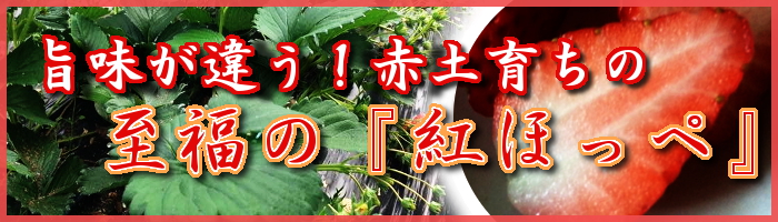至福の紅ほっぺ